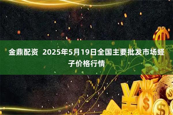 金鼎配资  2025年5月19日全国主要批发市场蛏子价格行情