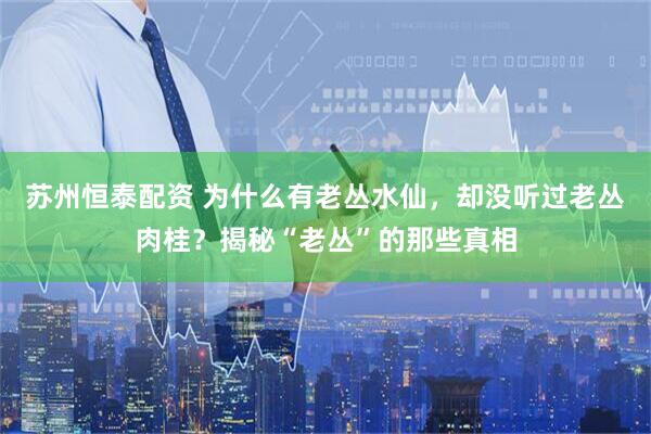 苏州恒泰配资 为什么有老丛水仙，却没听过老丛肉桂？揭秘“老丛”的那些真相